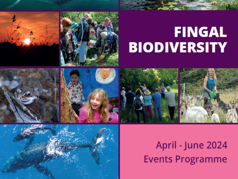 Biodiversity events brochure apr-june 24