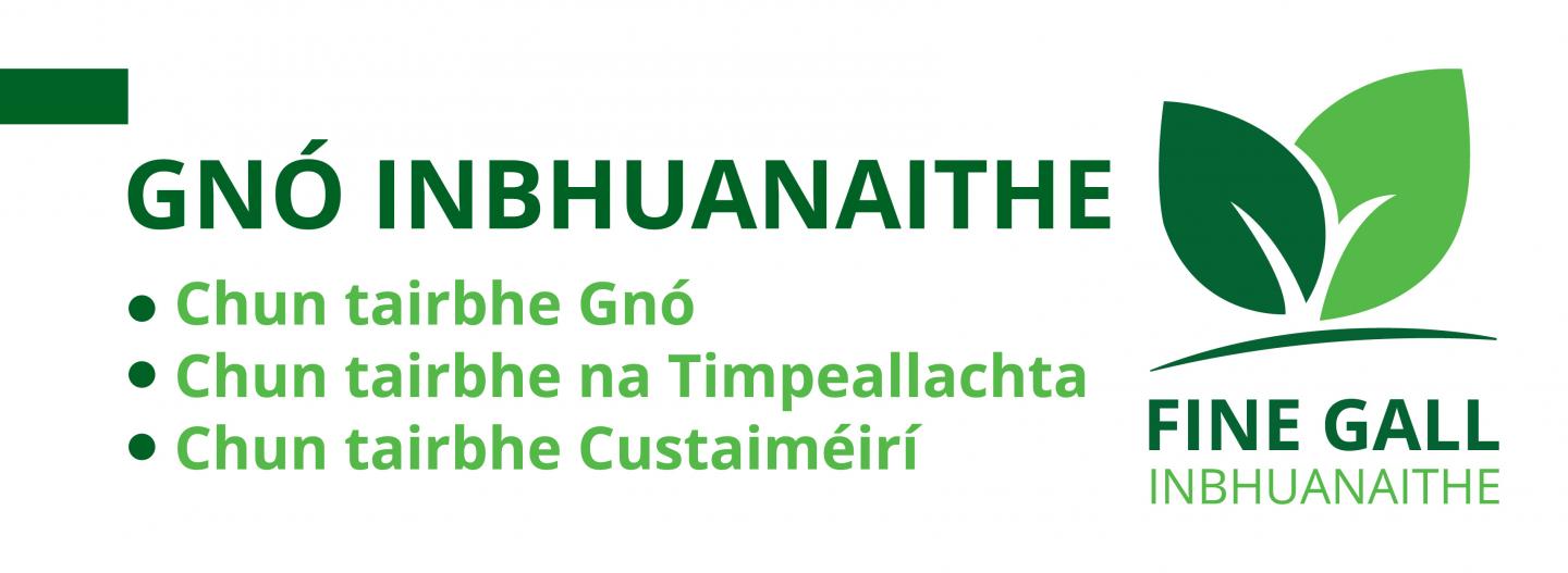 Sustainable Business cover Irish