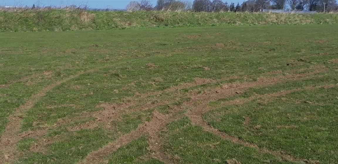 Dannys Pitches Vandalism