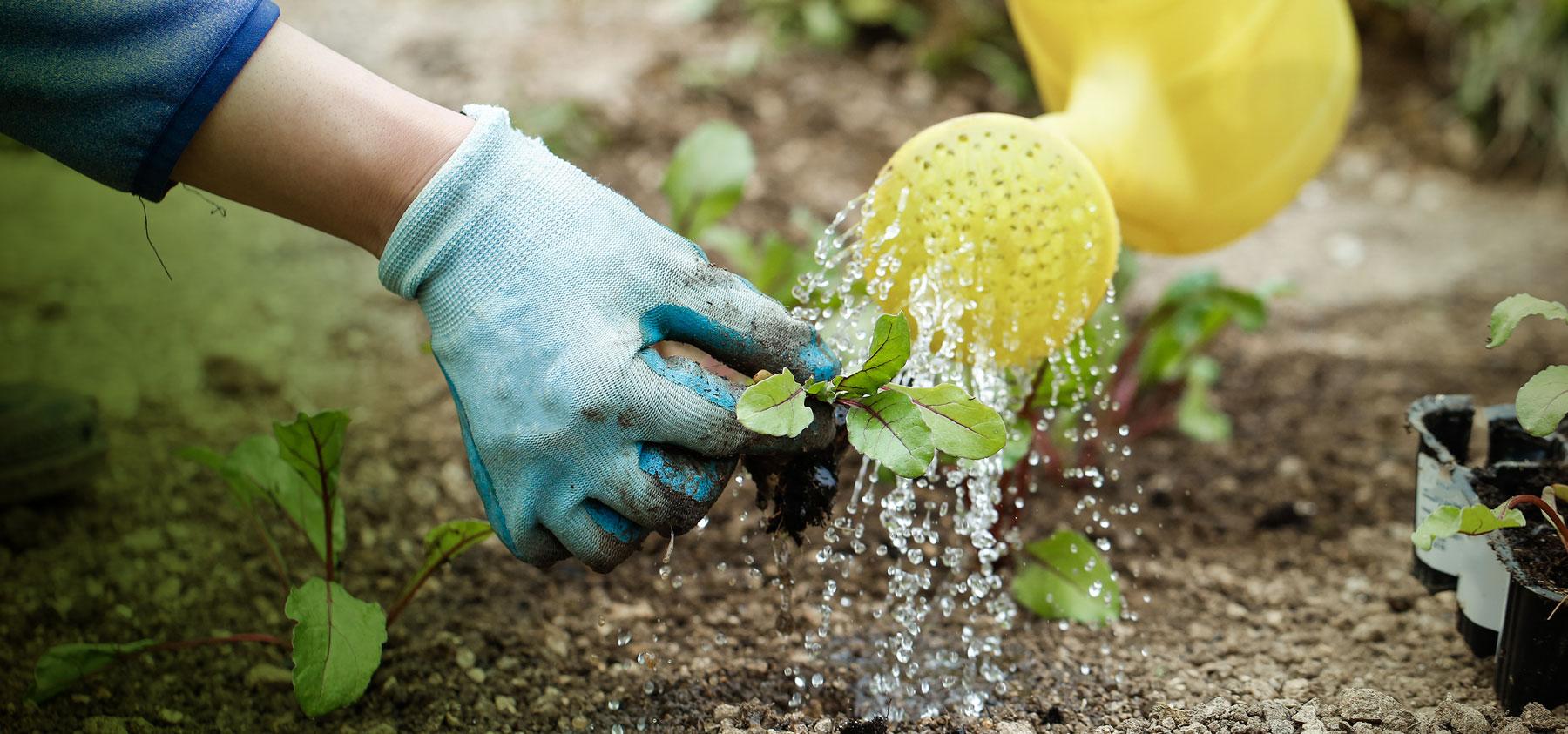 A Watering can uses a lot less water than a hose pipe Fingal County