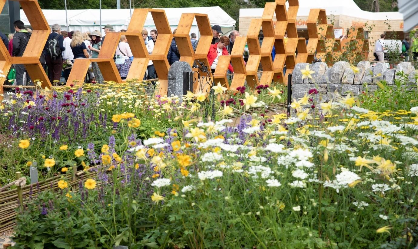 FCCs Gold Medal winning Bee Positive garden at Bloom 2019