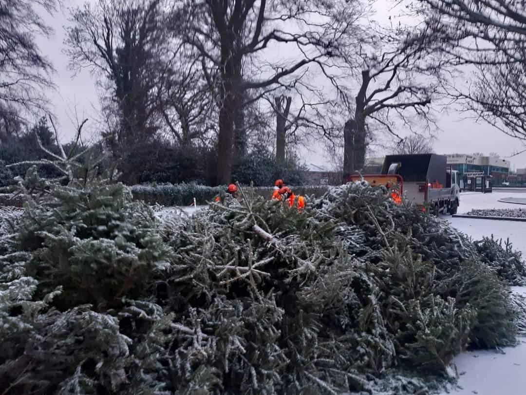 Christmas tree recycling Fingal County Council