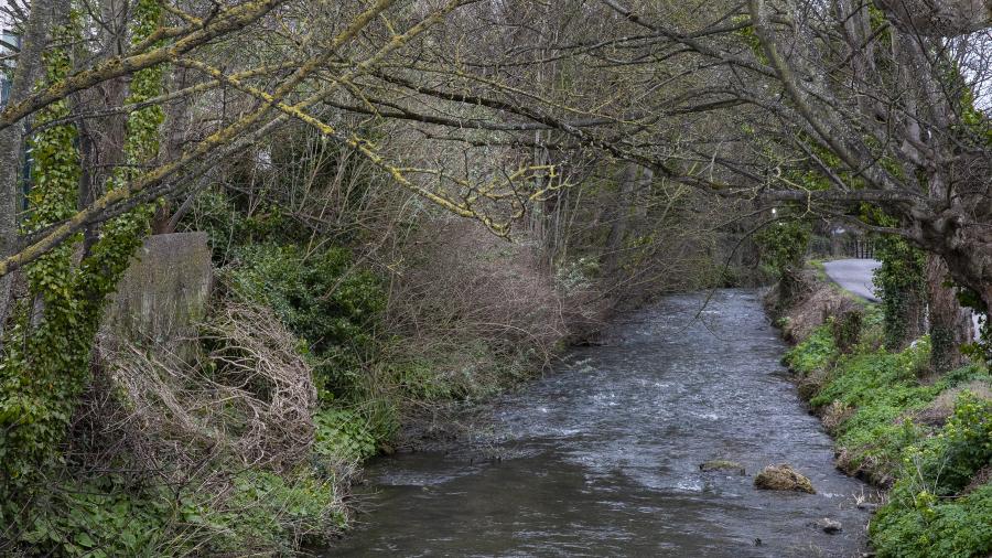 Ward River Valley Park Swords