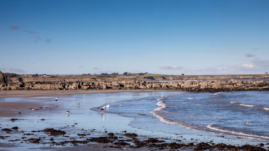 Skerries Beach 4