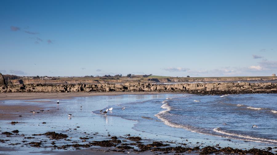 Skerries Beach 4
