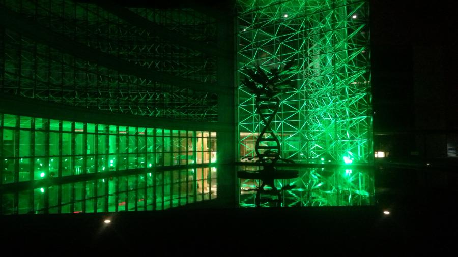 Civic Offices lit up green for St.Patrick's Day