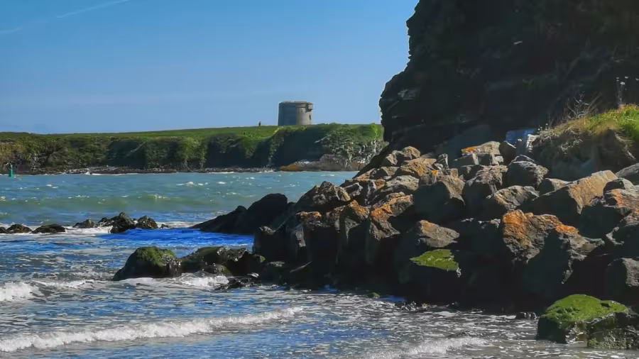 Loughshinny Beach