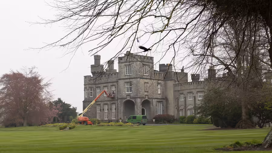 Luttrellstown castle