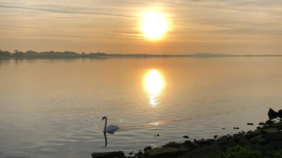 Broadmeadows Estuary, Swords
