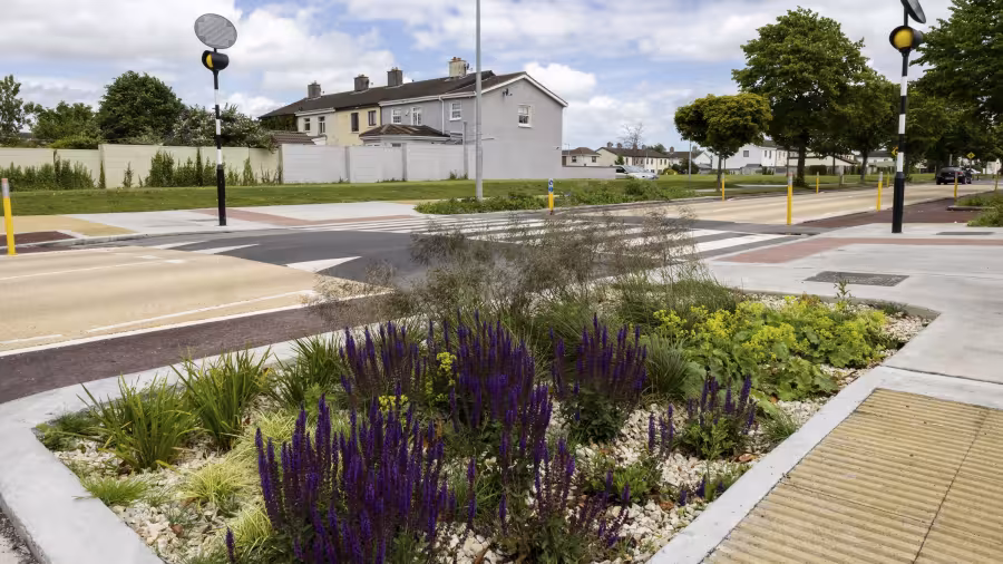 rain gardens feature at St Philip the Apostle school zone