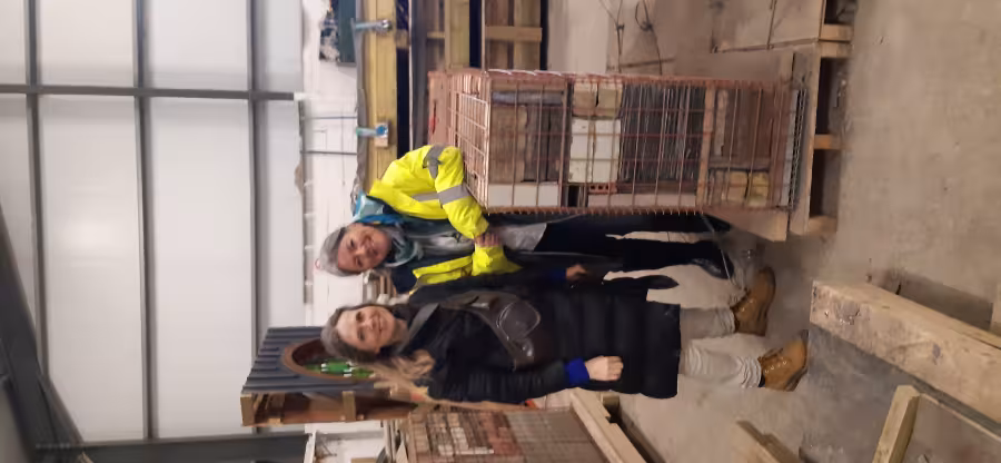 Progression images of the show garden