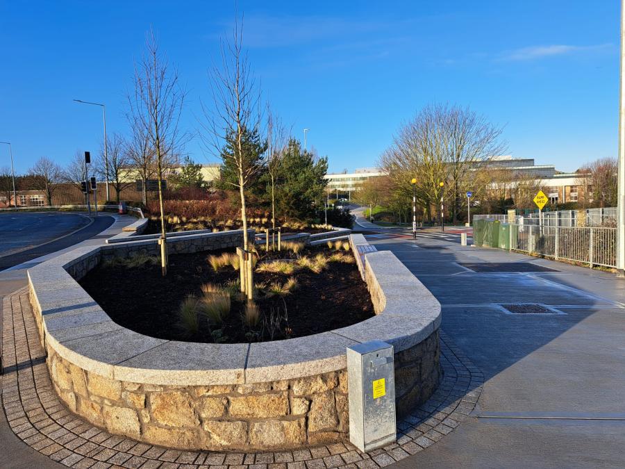 Harry Reynolds Road February 2025