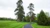 Santry Park Trees