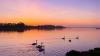 Broadmeadows Estuary, Swords