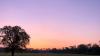 Malahide Park at sunrise