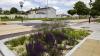 rain gardens feature at St Philip the Apostle school zone