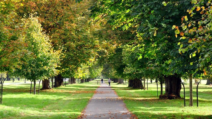 Phoenix Park Path