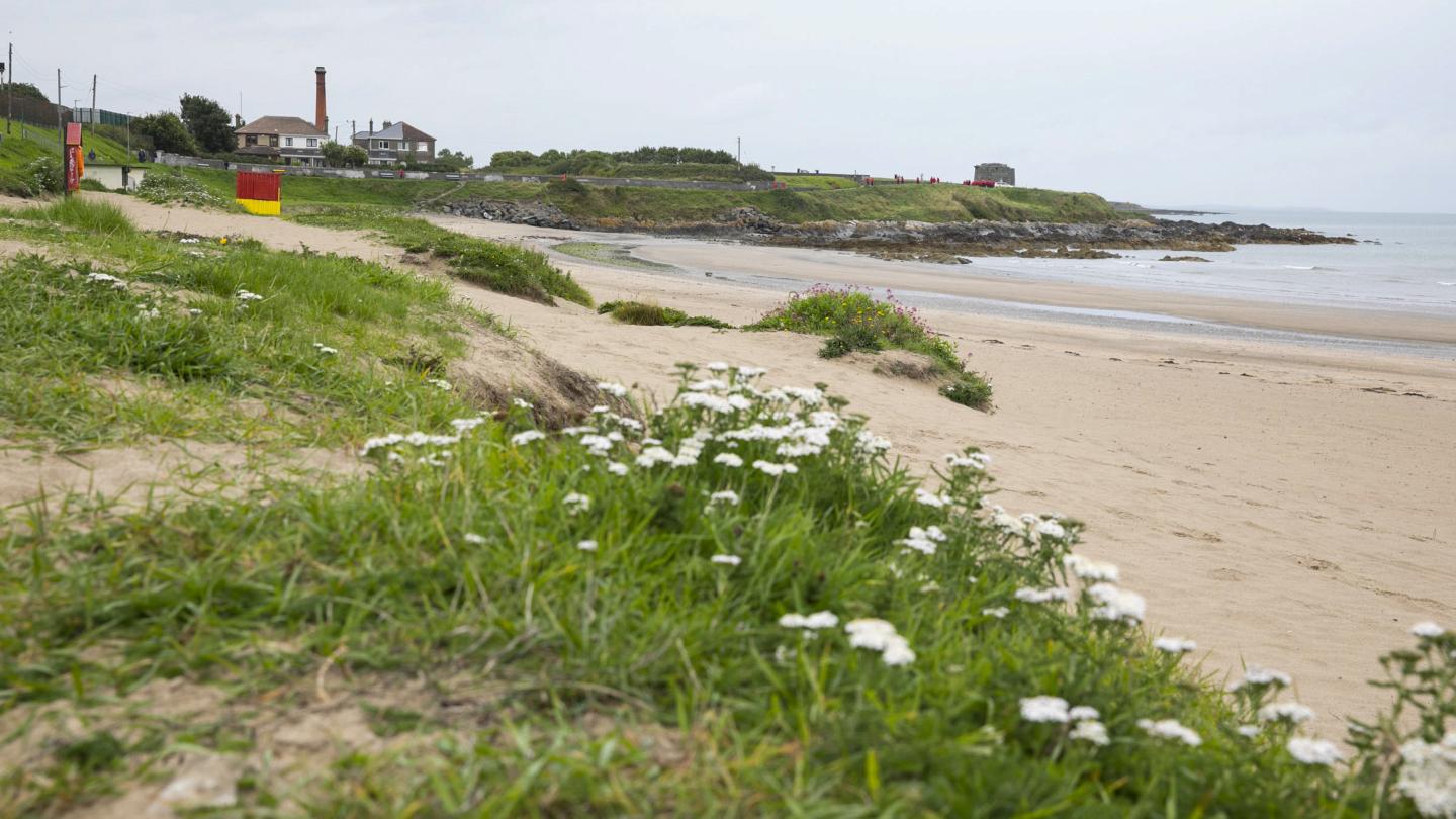 Balbriggan Beach 5