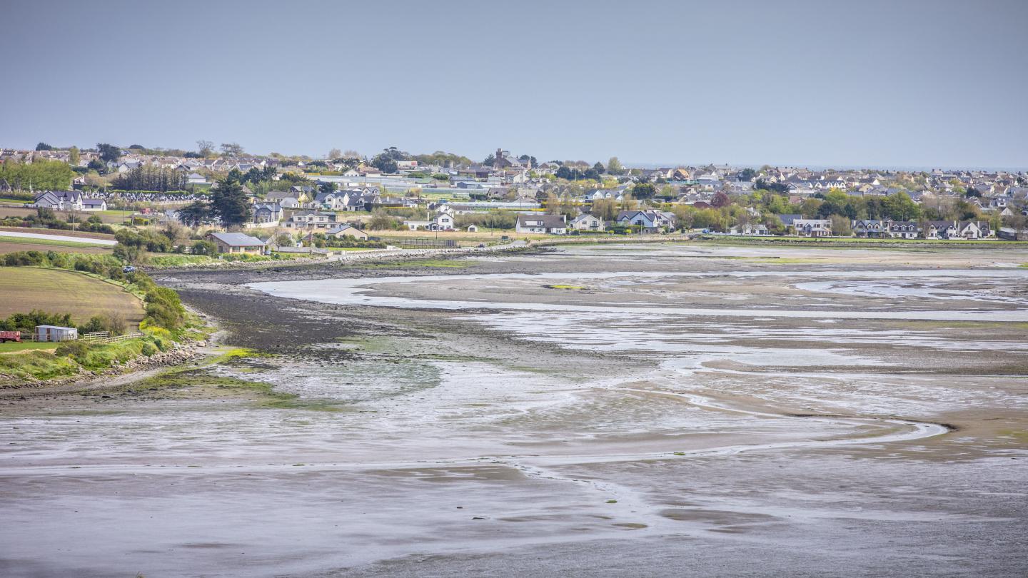 Rogerstown Park aerial