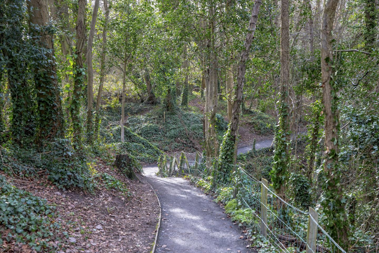 St Catherines Park
