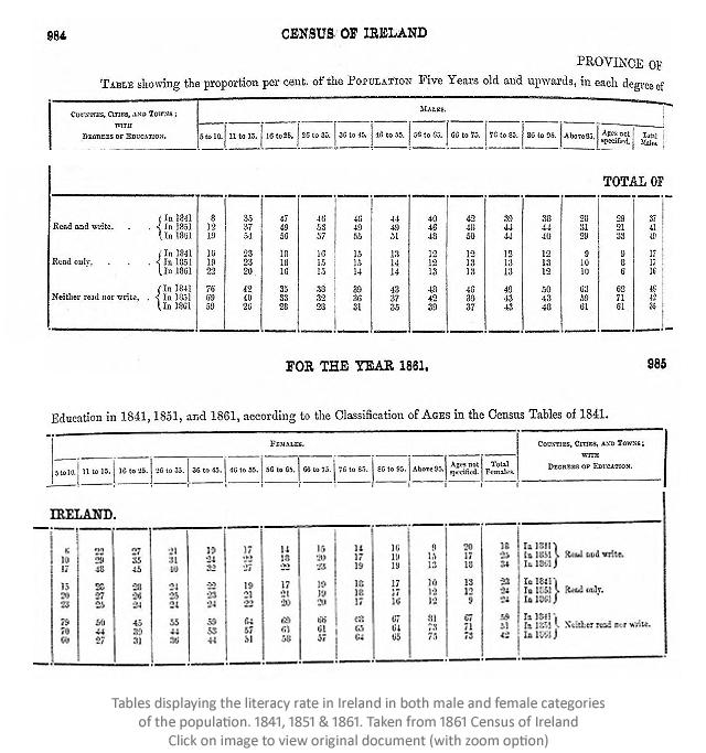 1861 Census Ireland