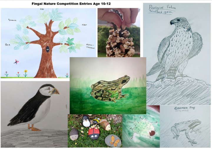 winners-fingal-nature-competition-10_12