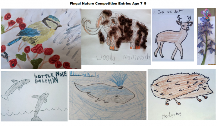 Winners Fingal Nature Competition 7_9