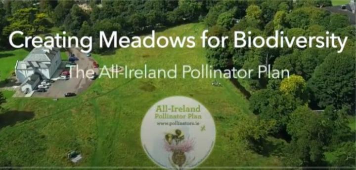 Creating meadows for Biodiversity