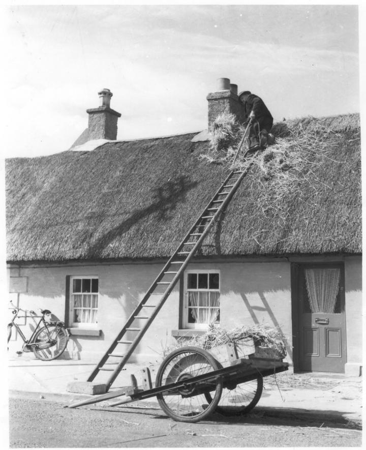 Fingal Thatch Project Image