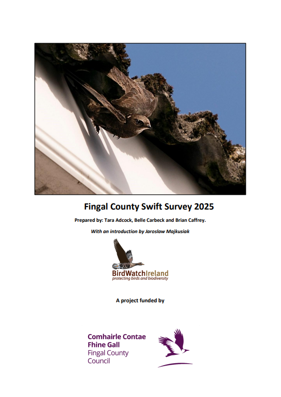 Swift Survey 2025