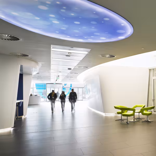 Business and Economy