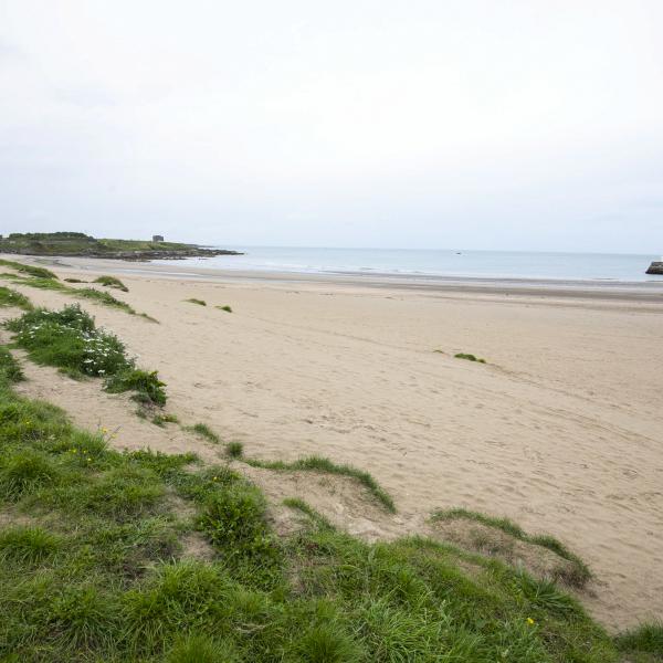 Balbriggan beach
