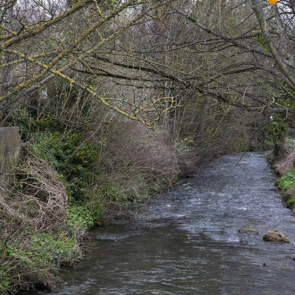 Ward River Valley Park Swords