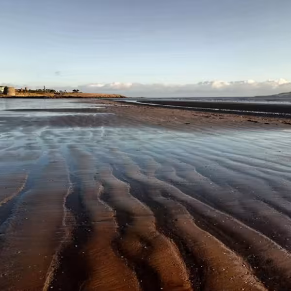 beach-donabate-low-tide