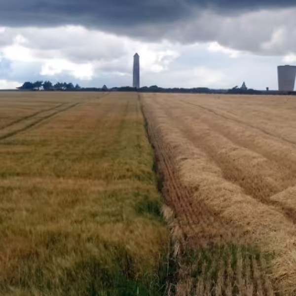 ChinkwellField2150dpi-2_850_478_s