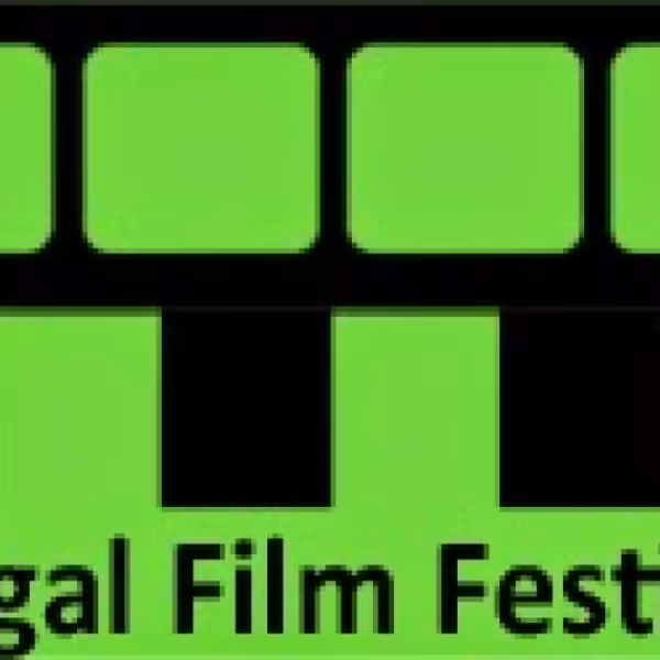 Fingal Film Festival