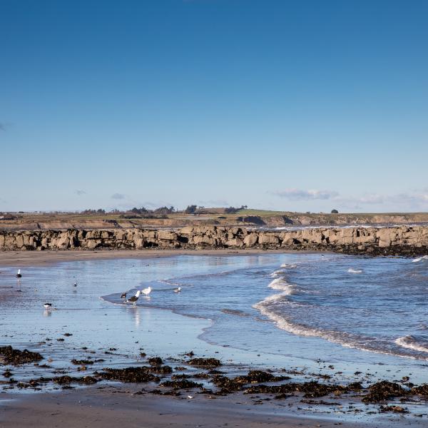 Skerries Beach 4