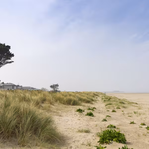 Burrow Beach Sutton 2