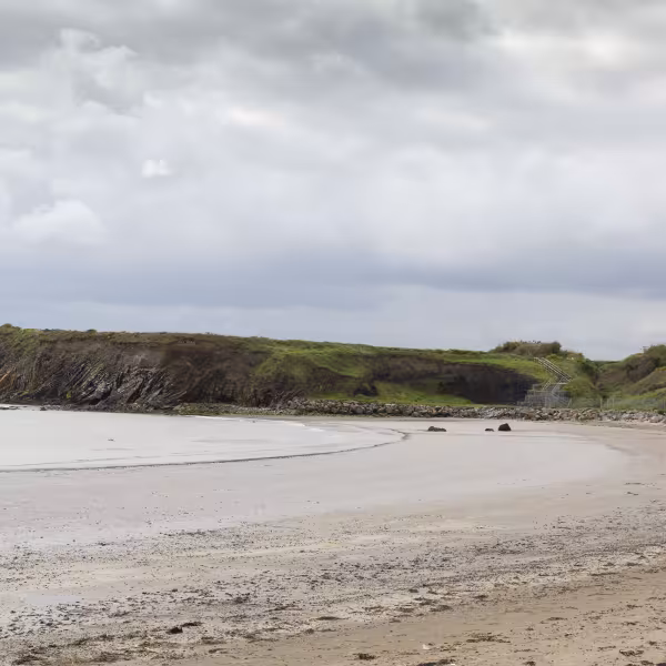 Loughshinny Beach 4