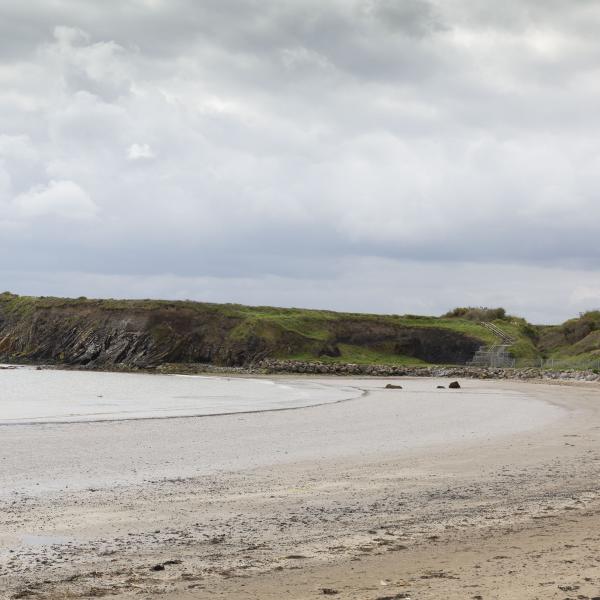 Loughshinny Beach 4
