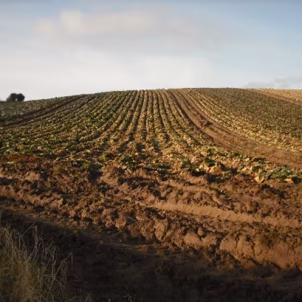 Hanging Hill Barnageeragh