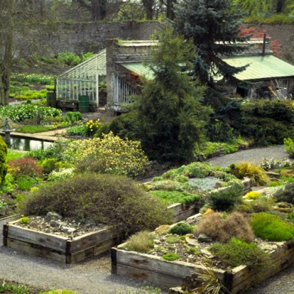 Raised mineral beds 1986