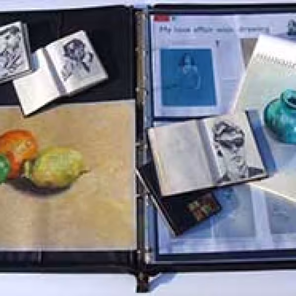 Portfolio preparation guidelines