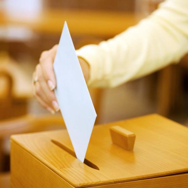 Voting