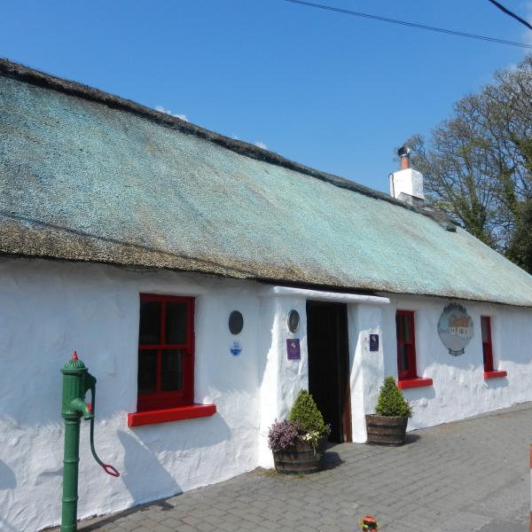 thatch repair