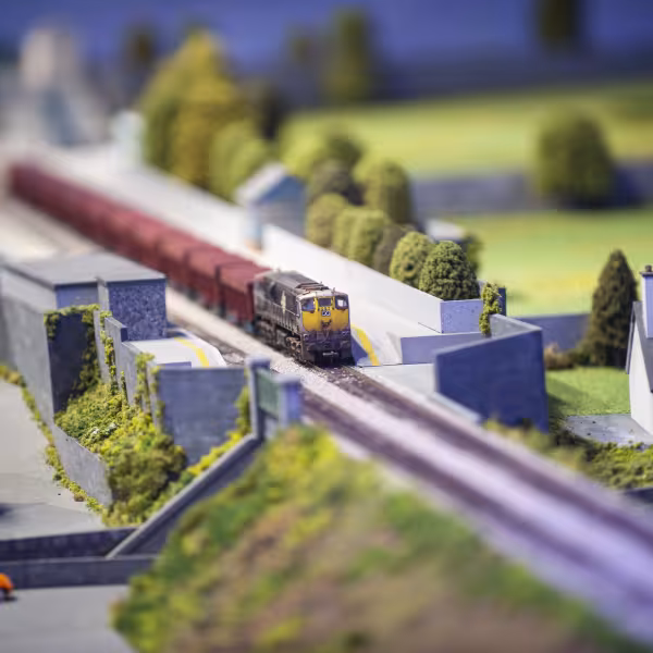 Malahide Casino opening