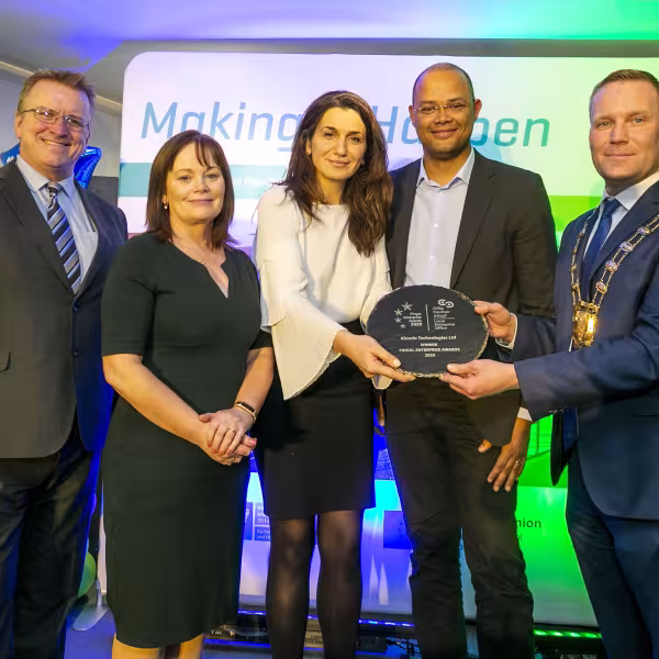 fingal enterprise awards