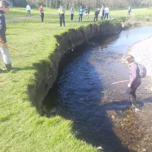 ancient remains swords