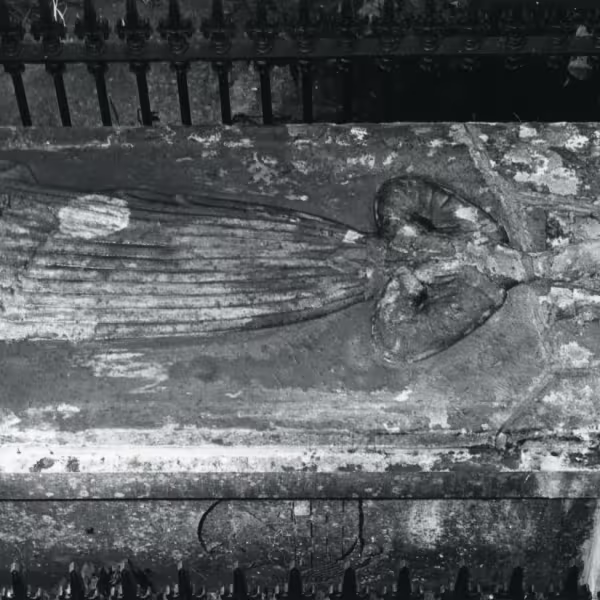 Heritage from home 15