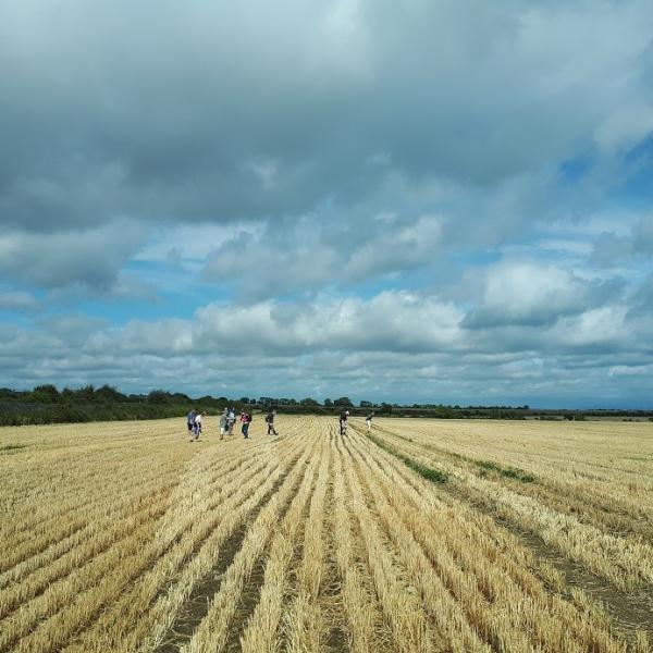 Fingal Fieldnames